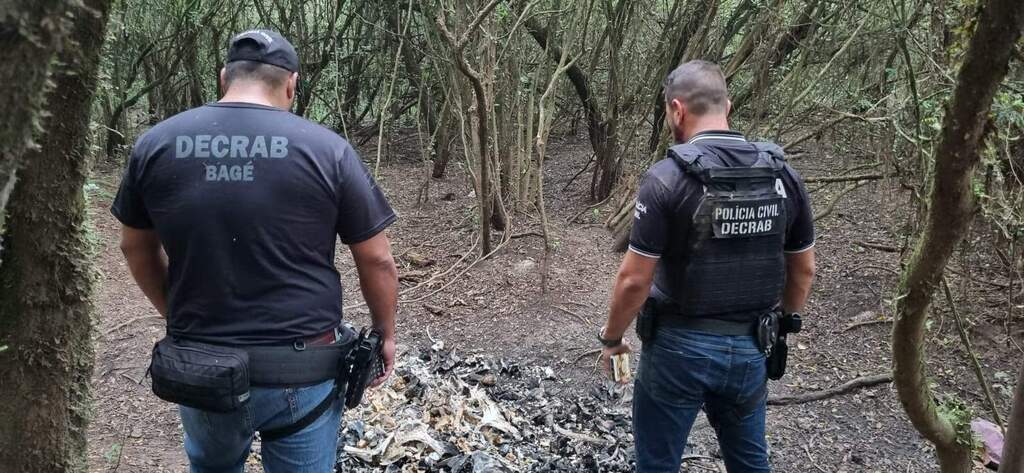 Operação encontra abatedouro clandestino em Capão do Leão