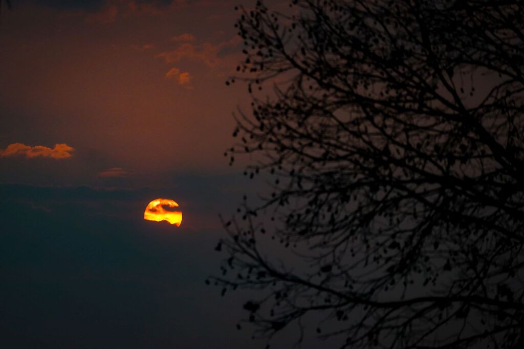 Foto: Ricardo Wolffenbüttel / SECOM - 
