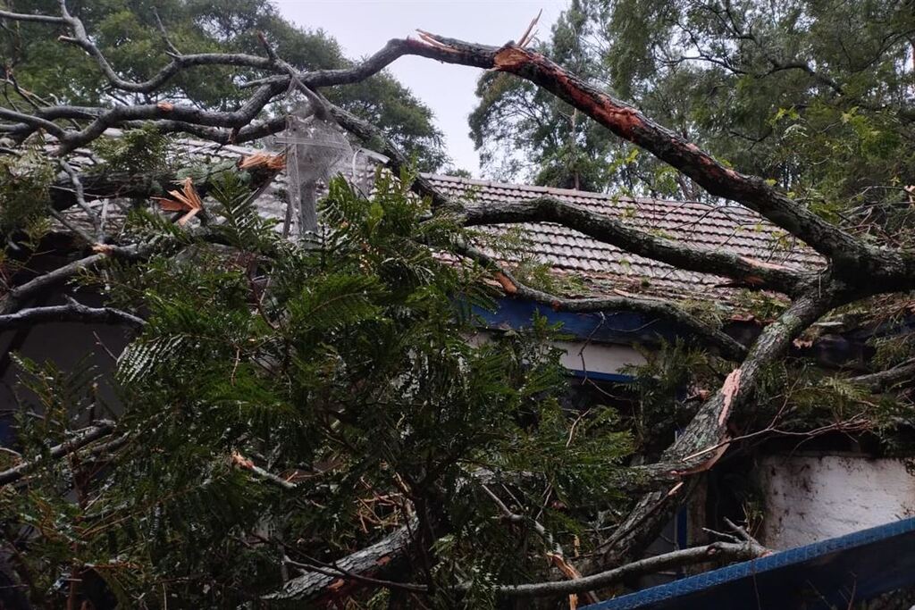 título imagem VÍDEO: rajadas de vento de 83 km/h derrubam árvore em São Gabriel; 10 casas ficaram destelhadas