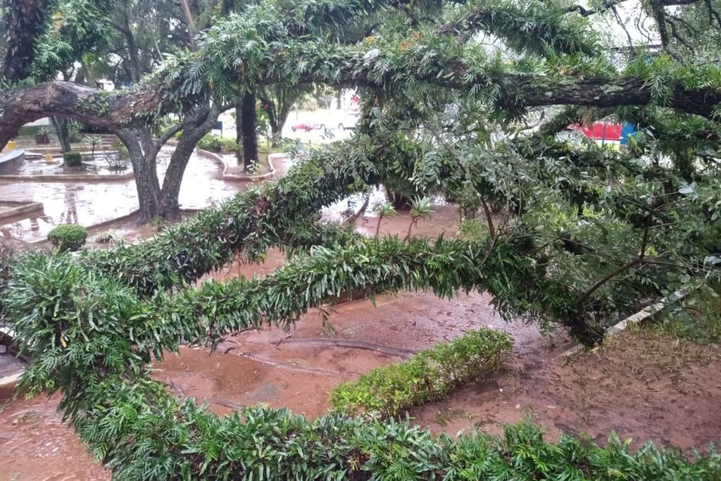 Rosário do Sul registra queda de árvores e fios de alta tensão após temporal