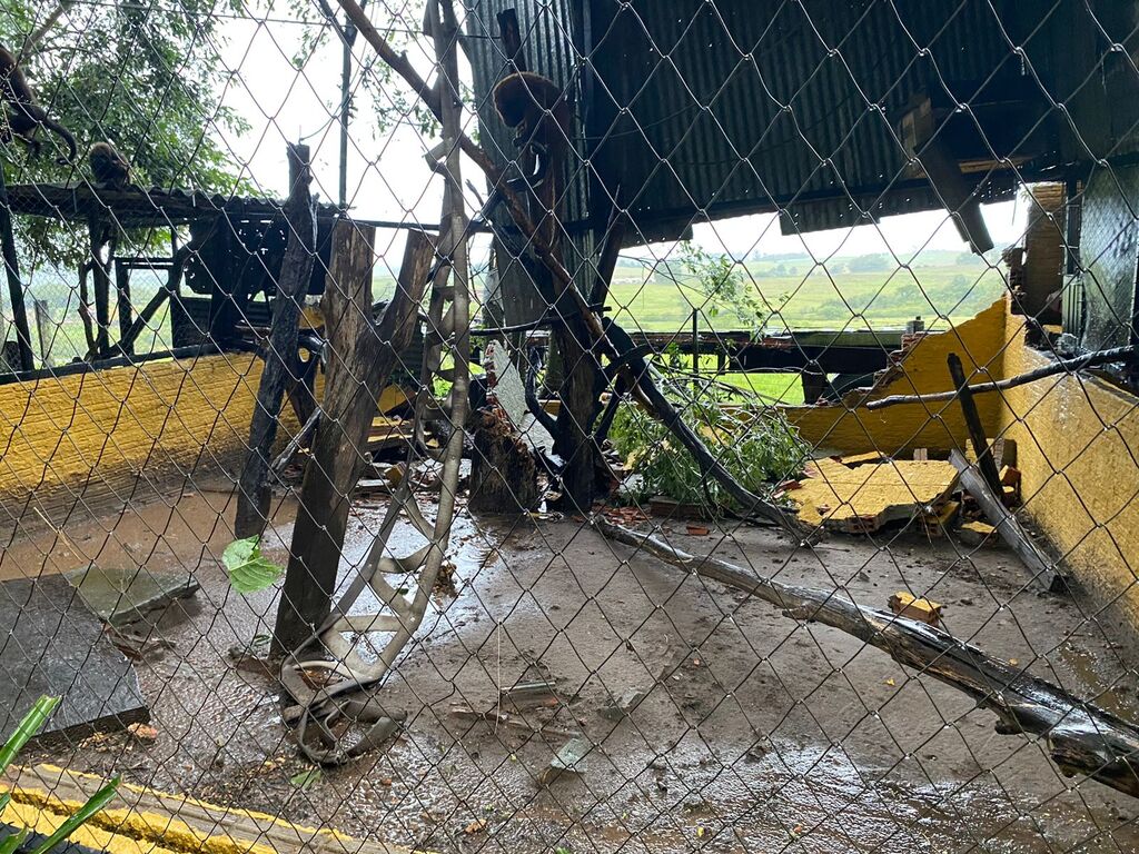Pelo menos sete animais fogem do Zoo São Braz após parede ceder com temporal; todos já foram localizados
