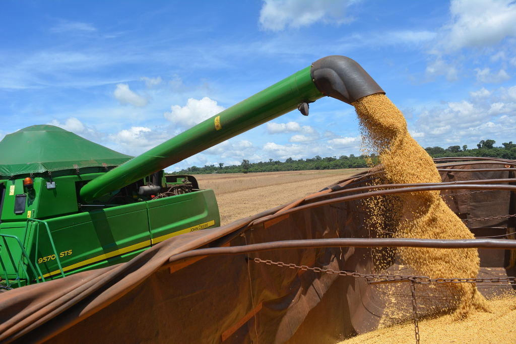 Com previsão de safra menor, produtores enfrentam o desafio de maximizar a qualidade de grãos