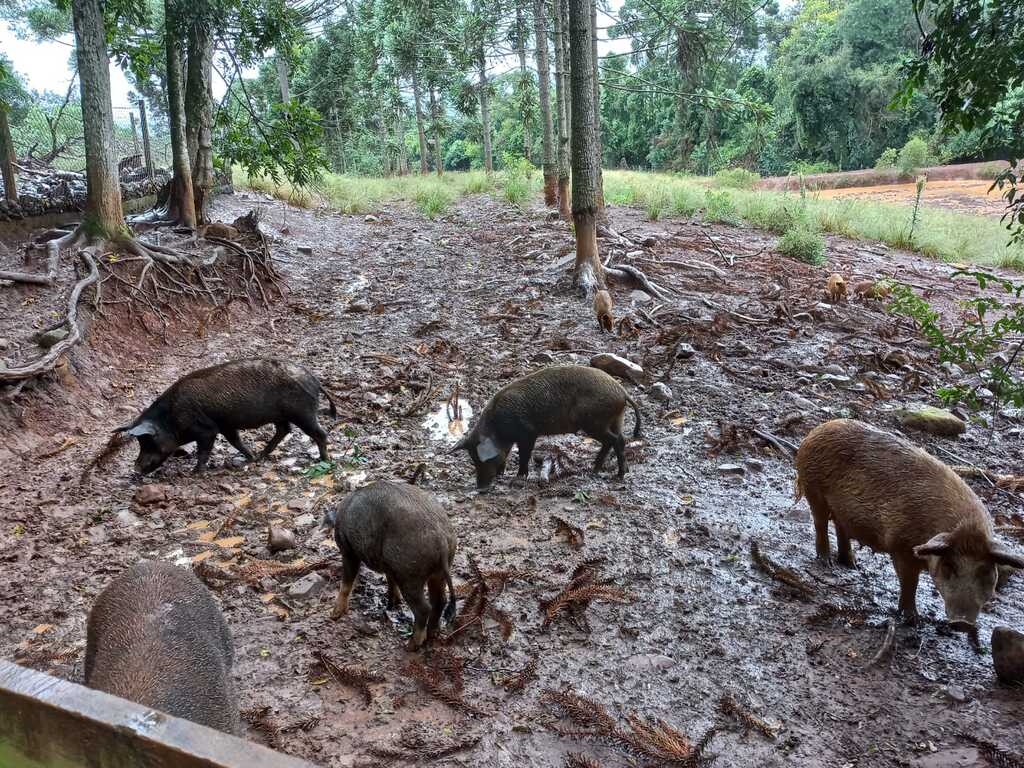  - IMAGEM DIVULGAÇÃO