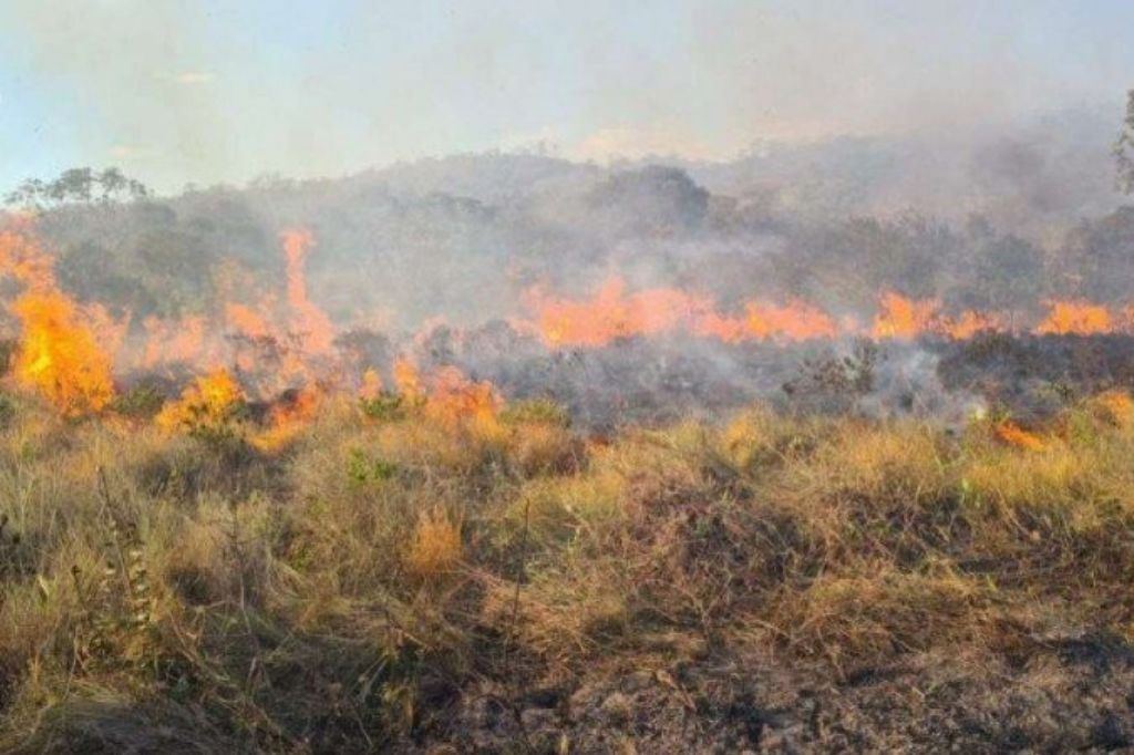 Bombeiros combatem incêndio em vegetação no bairro Arroio do Rosa