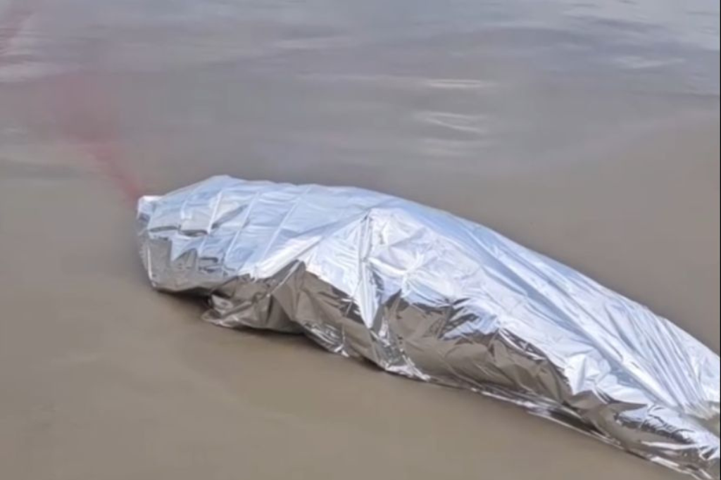 (Imagem em circulação na internet) - ATUALIZAÇÕES: Moradores encontram cadáver na Praia do Porto