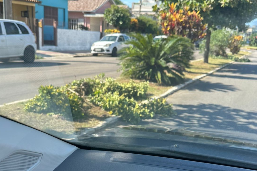 Câmeras flagram homem cortando árvores na Nereu Ramos