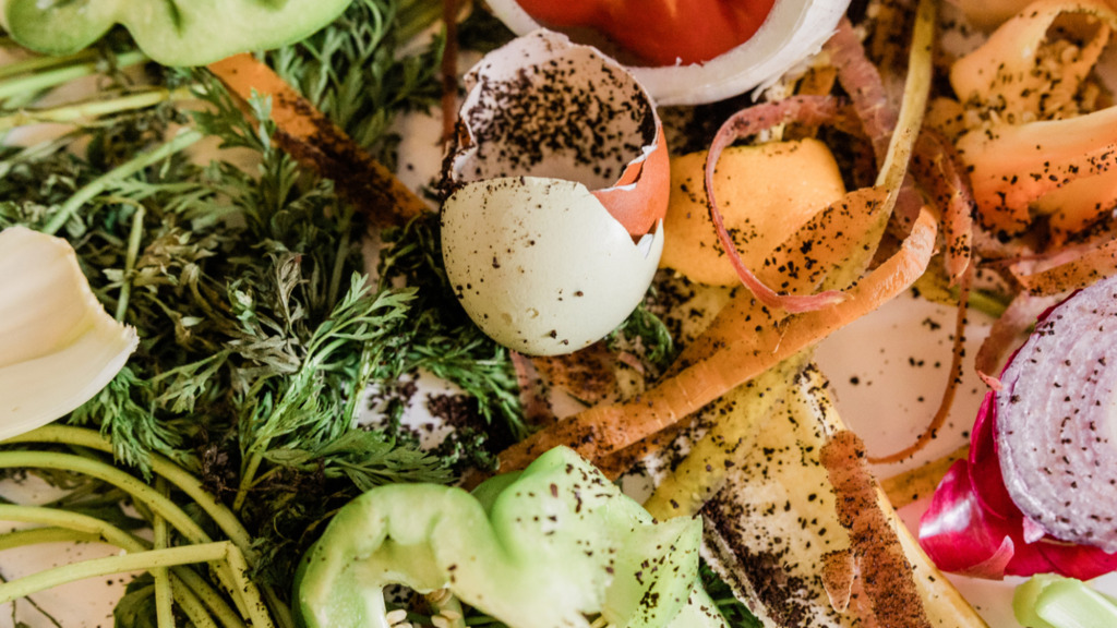 Susannah Twonsend/baseimage/ONU Brasil - Especial DP - Relatório do Índice de Desperdício de Alimentos da ONU: Domicílios de todos os continentes desperdiçaram mais de 1 bilhão de refeições por dia em 2022