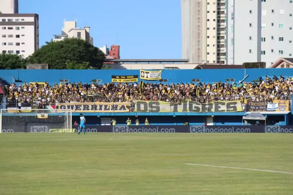 Torcida do Tigre no jogo de ida da final do Catarinense – Foto: Celso da Luz/CEC/ND - 