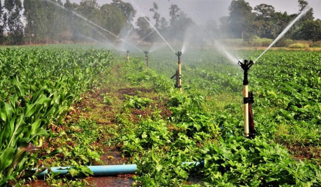 Lei institui Dia Nacional da Agricultura Irrigada, a ser comemorado em junho