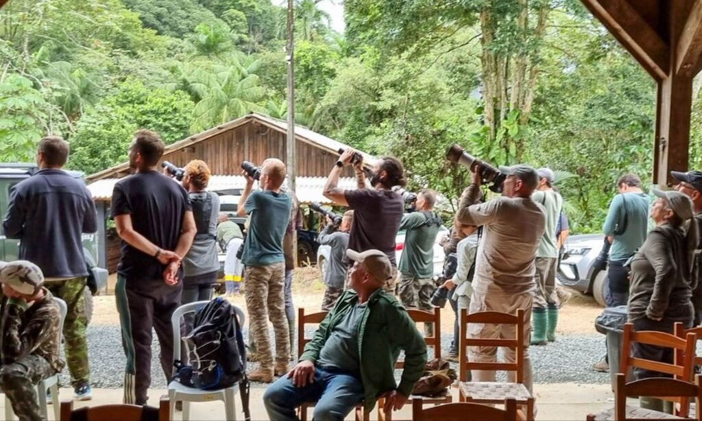 Observa Joinville reúne entusiastas da observação de aves em Pirabeiraba