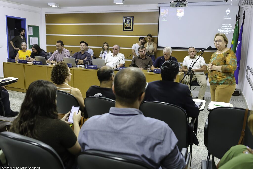 Secretária de Saúde presta esclarecimentos sobre epidemia de dengue em Joinville
