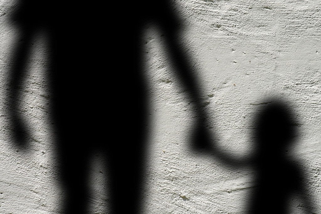 Divulgação - Será elaborado um relatório de identificação dos tipos de violência e a apresentação de propostas de intervenções em casos hipotéticos envolvendo violência contra crianças e adolescentes