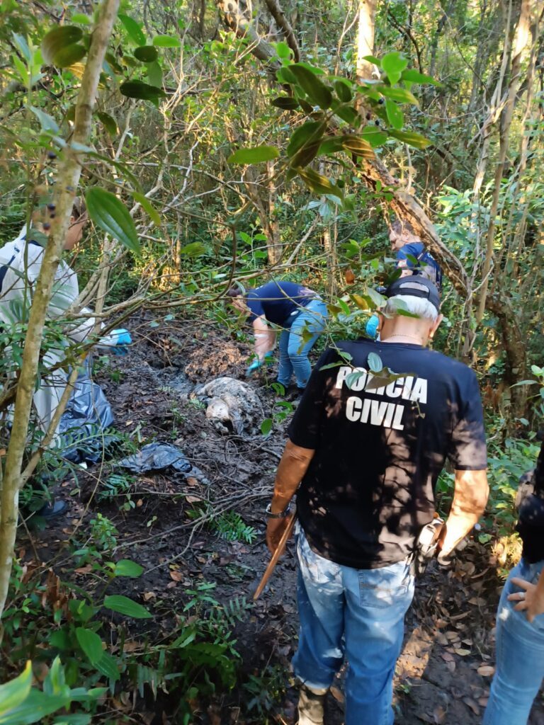 Corpo de homem que estava desaparecido desde janeiro é encontrado enterrado em Florianópolis