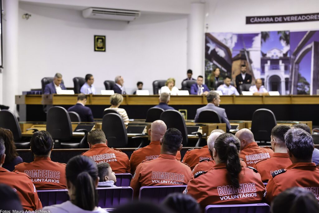 Audiência no Senado discute Dia Nacional do Bombeiro Voluntário