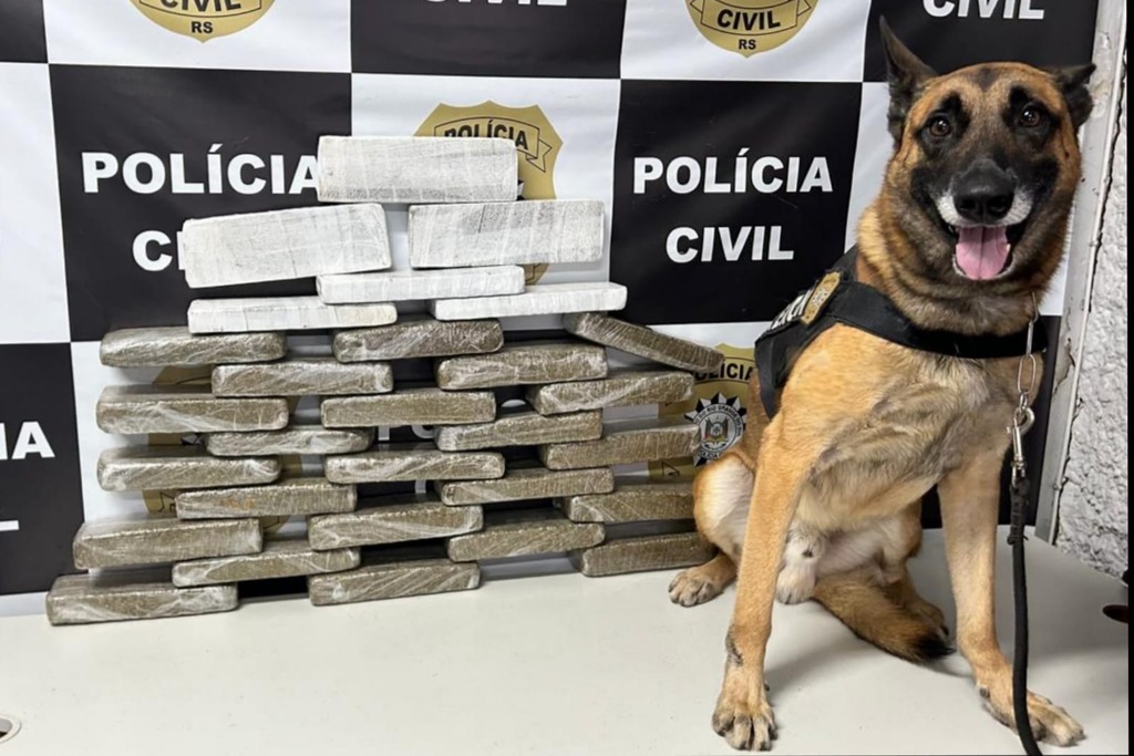 Divulgação - Cão farejador encontrou a droga no porta malas do carro