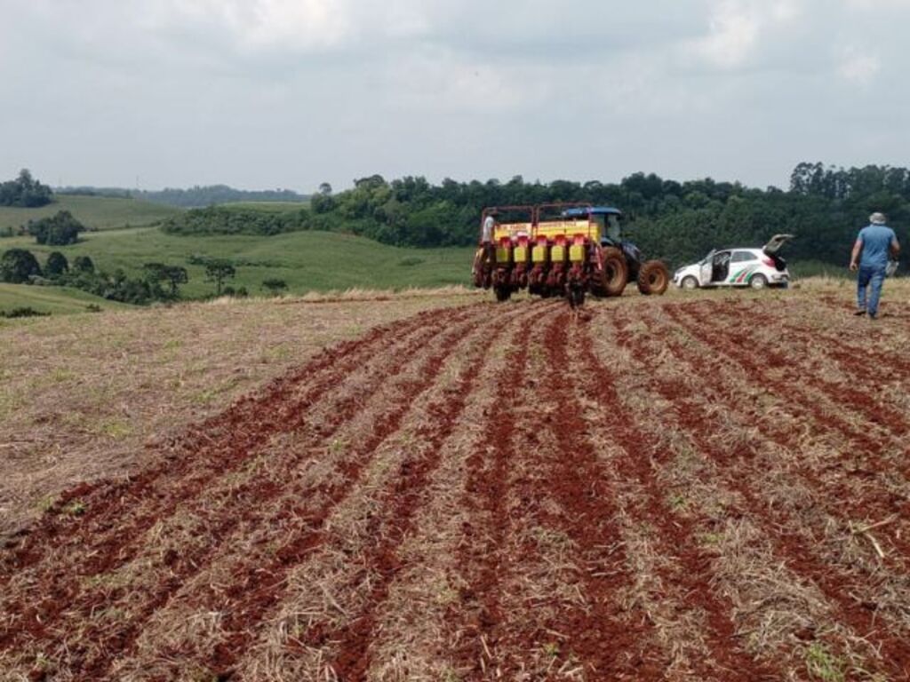 Cultivares de soja da Embrapa testados pela Epagri apresentam produtividade acima da média