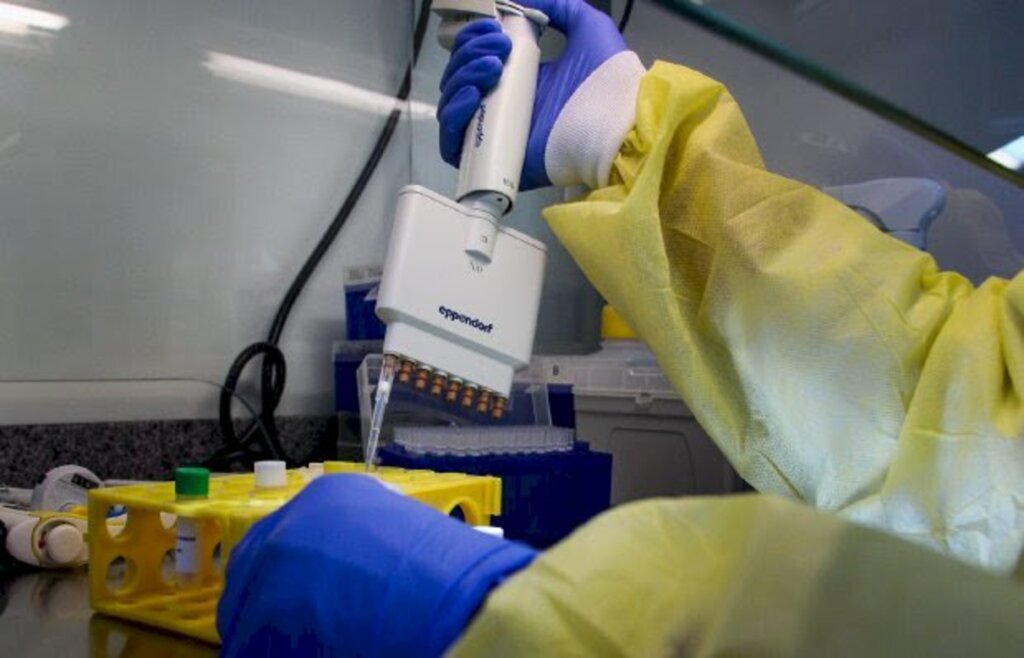 Coronavírus em SC: Governo do Estado investe em kits para 5,4 mil testes de Covid-19 por biologia molecular