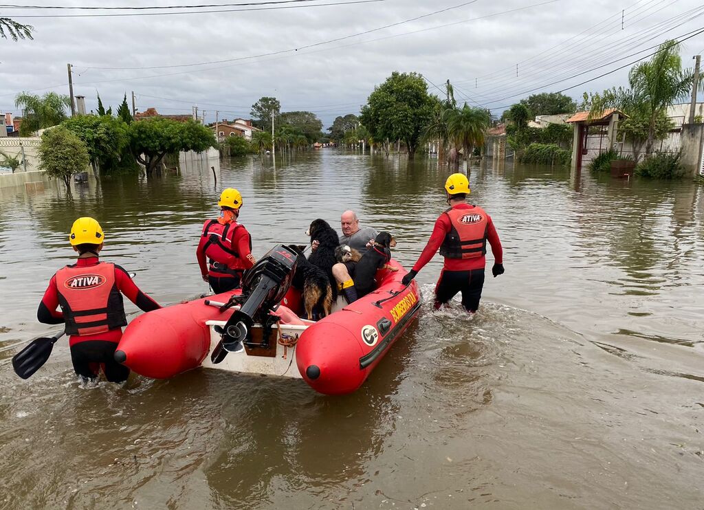 Foto: Jô Folha - Cachorros são resgatados