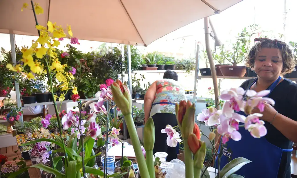 Foto: José Cruz/Agência  Brasil - 