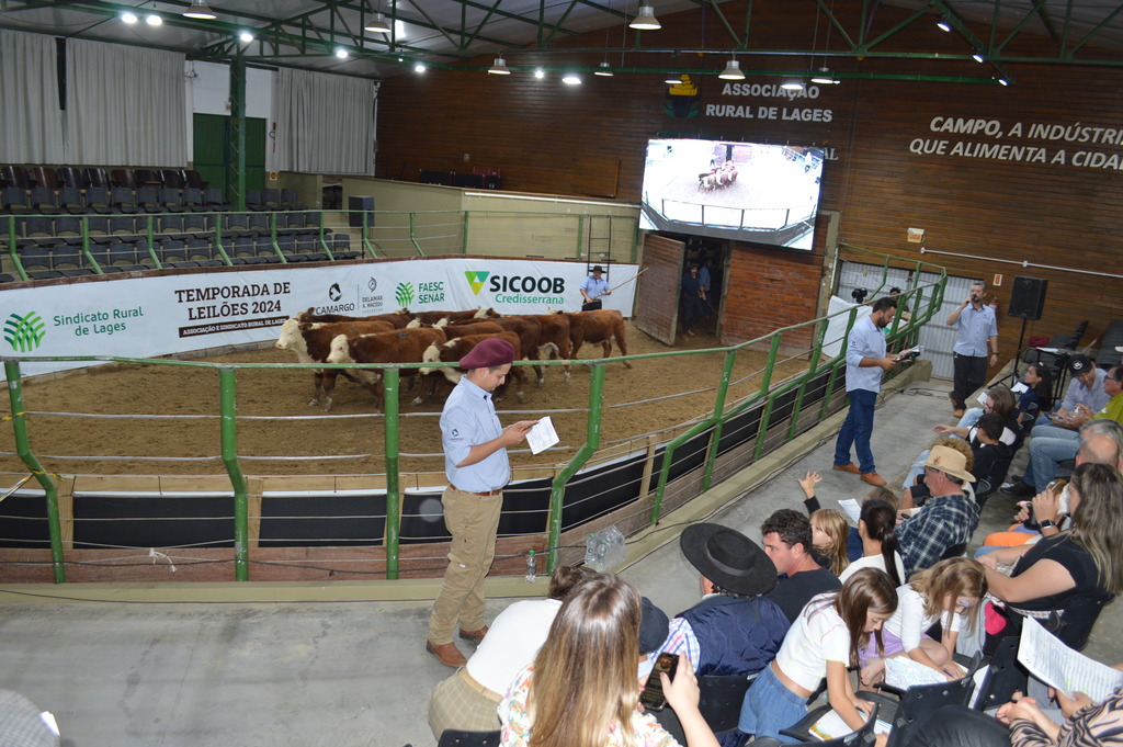 Etapas da Feira do Terneiro e da Terneira marcadas por campanhas solidárias