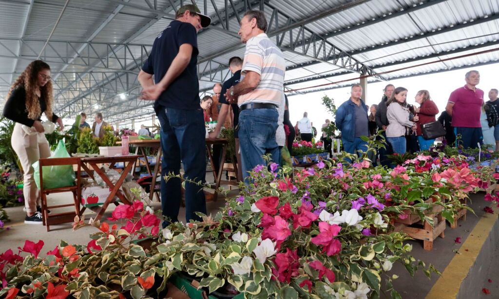 Feira Direto do Campo ocorre neste sábado, na Ceasa, em Joinville