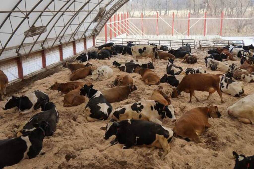 Compost Barn