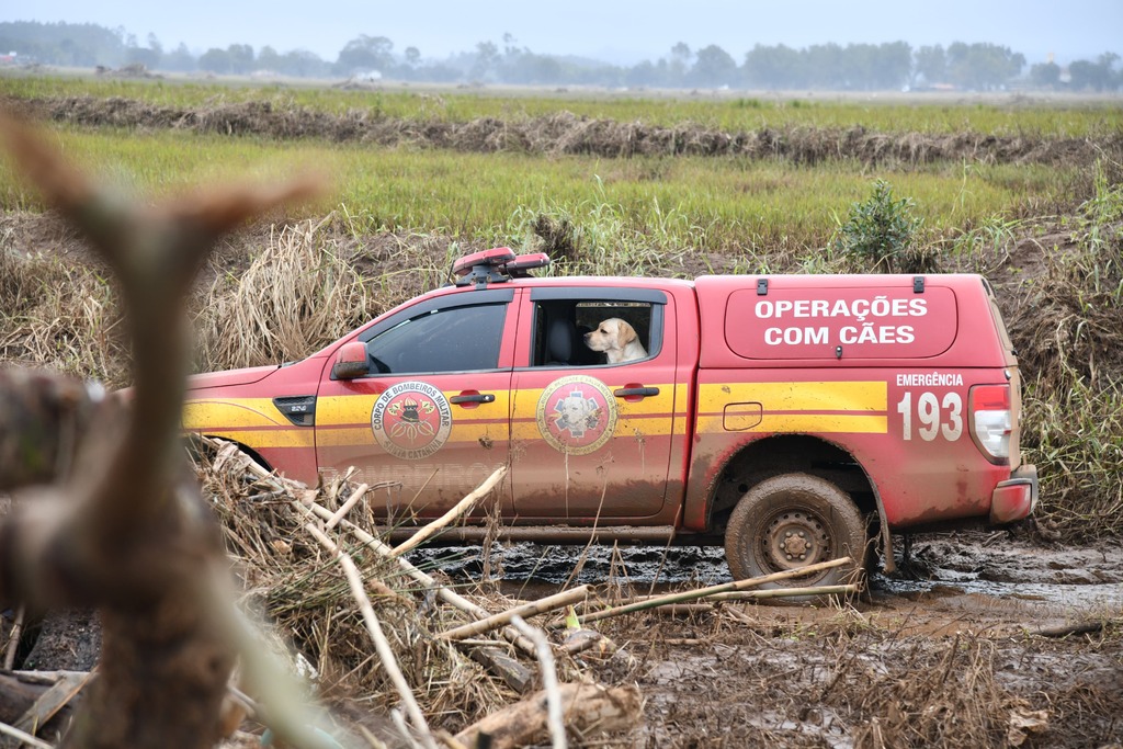 Fotos: Divulgação / CBMSC - O foco do trabalho será em Áreas Deslizadas e Busca e Resgate com Cães