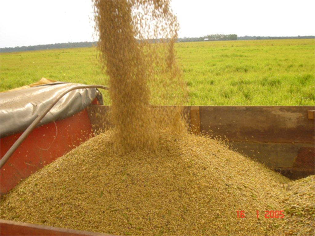 Valor da produção agrícola cresce 8,9% em 2010