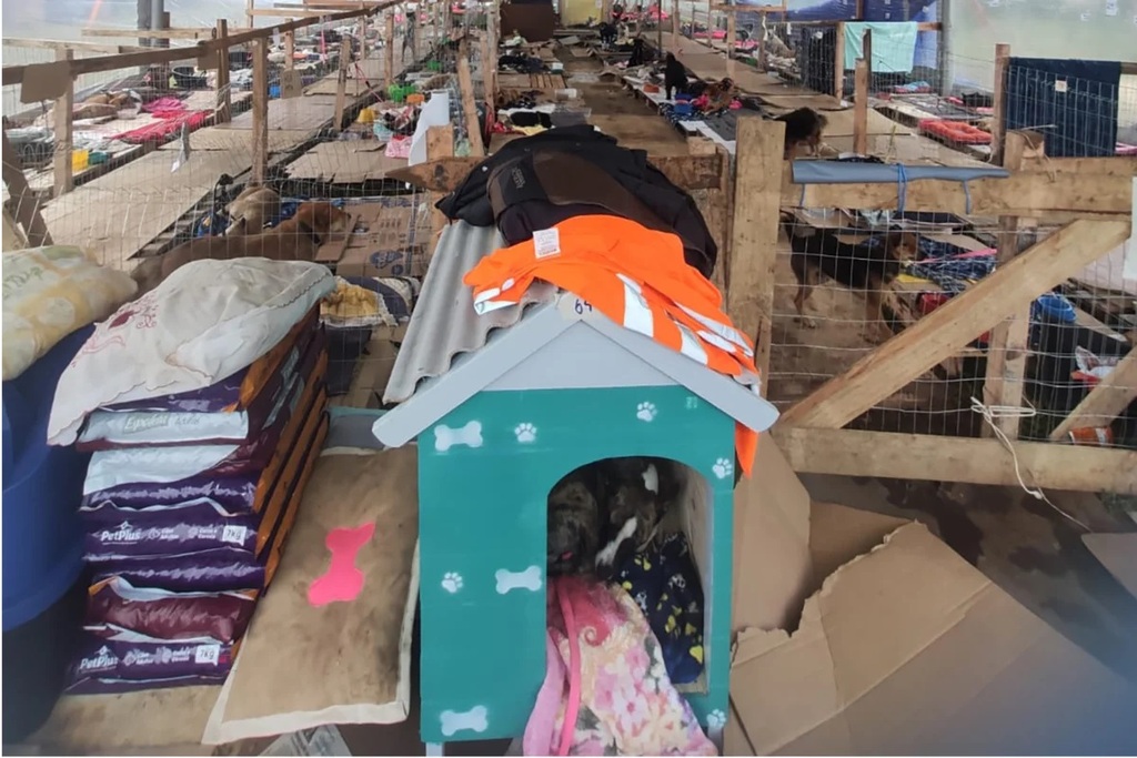 Indústrias doam mais de 50 mil produtos veterinários para o tratamento dos animais resgatados das enchentes do Rio Grande do Sul