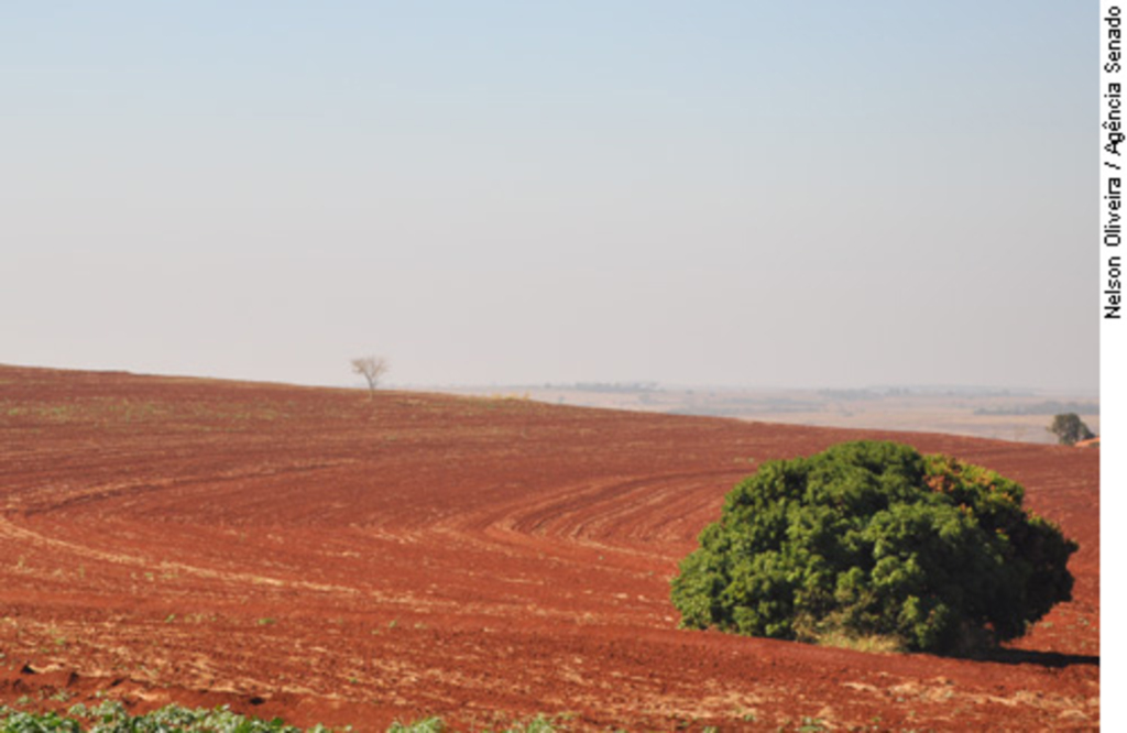 Lei para proteger florestas não é exclusividade brasileira, mostra estudo