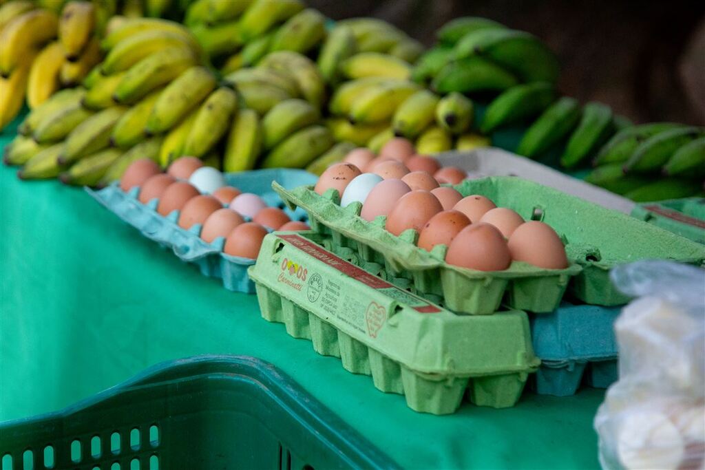Produto escasso: dúzia de ovos está mais cara em Santa Maria