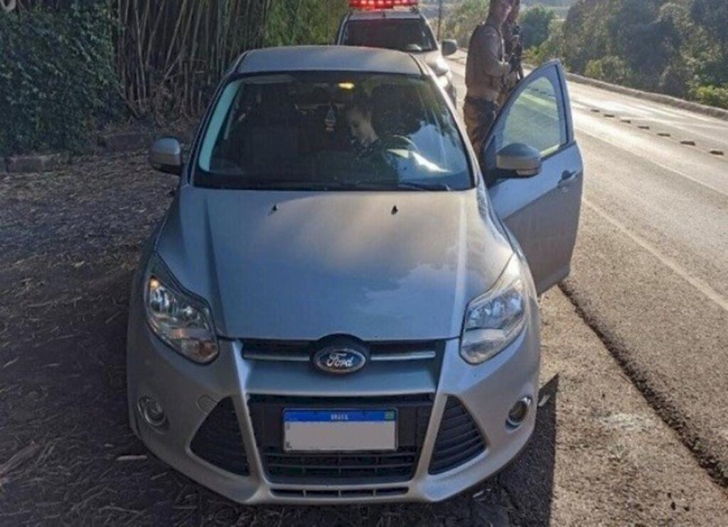 Colisão entre um carro e dois bois é registrada