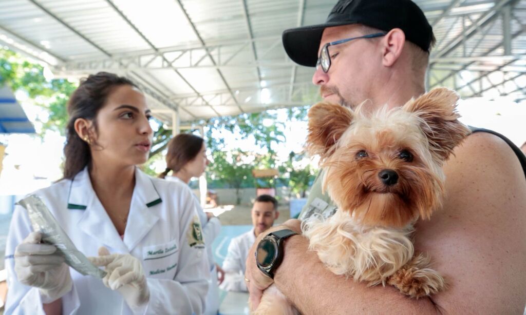 Mutirão de microchipagem em animais acontece neste final de semana