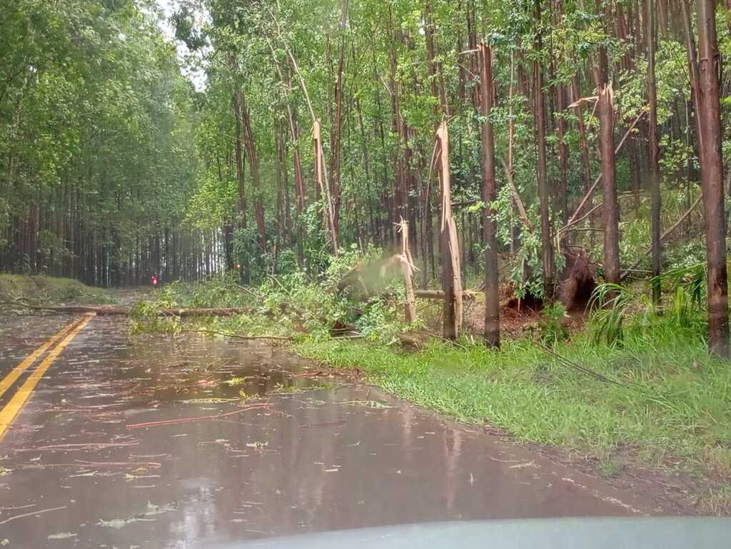 Temporal atinge o município de Santa Helena na tarde desta quinta-feira