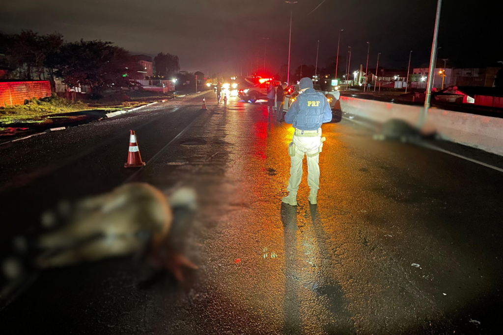 Foto: Polícia Rodoviária Federal (Divulgação) - O acidente foi registrado próximo ao trevo da Coca-Cola, em Santa Maria.