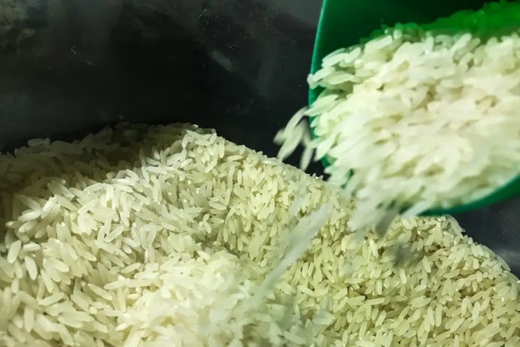Governo libera mais R$ 6,7 bilhões para garantir arroz a preço justo no prato dos brasileiros
