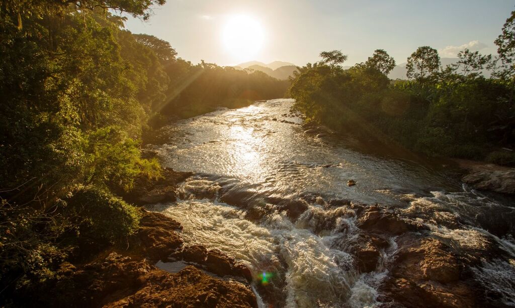 Inscrições abertas para a programação da Semana do Meio Ambiente de Joinville