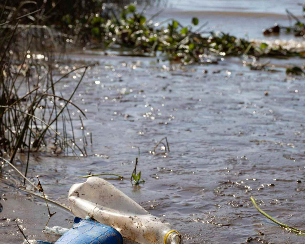 Esgoto no mar: prejuízo à saúde humana e biodiversidade marinha, além de prejudicar o turismo