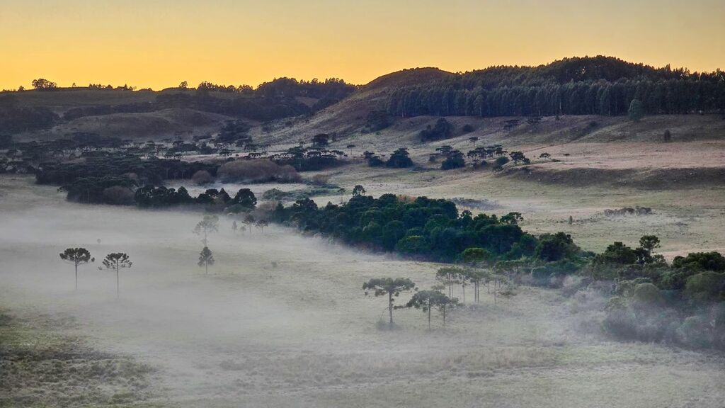 Último dia de maio começa com recorde de temperaturas mínimas em Santa Catarina