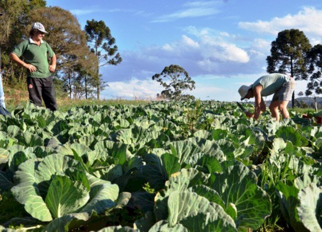 Fomento à produção ecológica