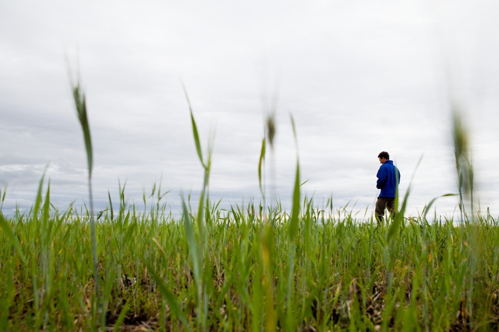 Foto: Pedro Revillion - Arquivo - Palácio Piratini - Com menos de 20 milhões de hectares, o Pampa é um dos menores biomas brasileiros