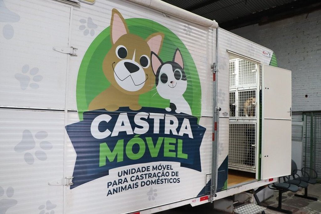Castramóvel oferece 60 vagas para cirurgia de cães e gatos nesta terça em Santa Maria; veja como solicitar