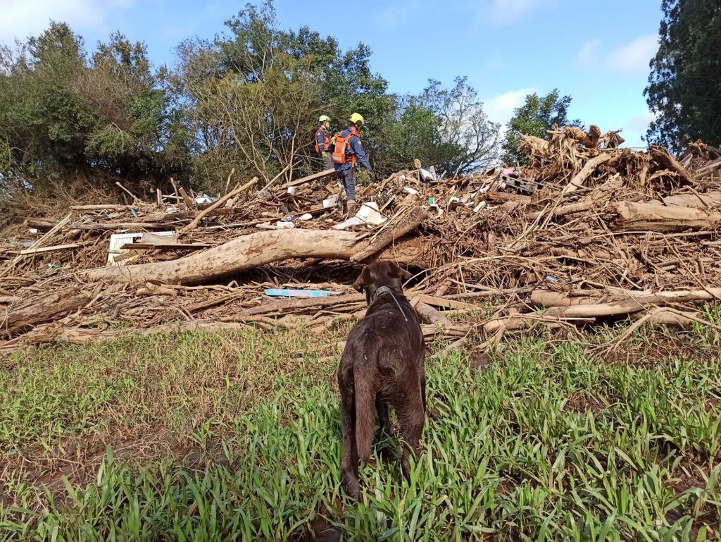 Divulgação / CBMSC - 