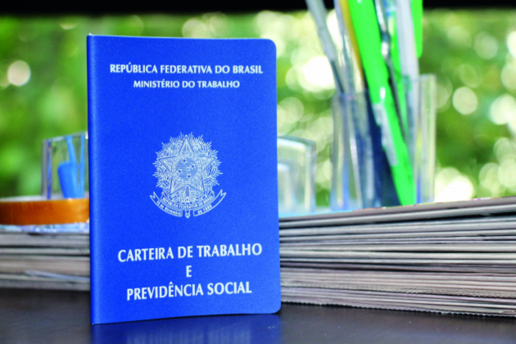 Divulgação - 