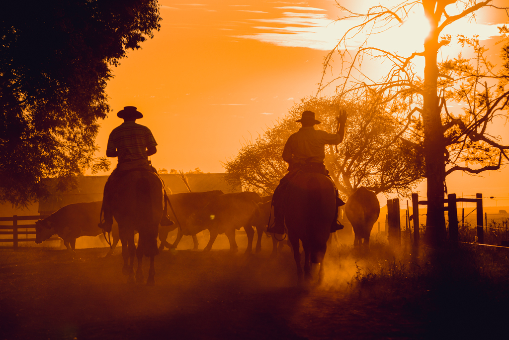 Eduardo Rocha - Divulgação - - Entre as potencialidades, a Setur vai apresentar o turismo rural aos visitantes.