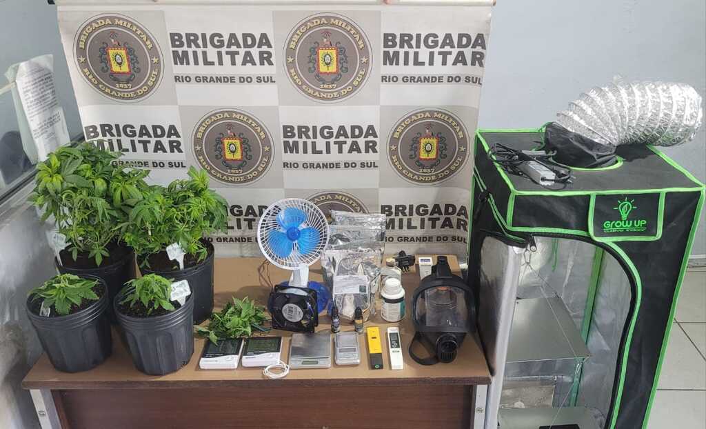 Brigada Militar descobre local com plantação de maconha em Monte Bonito