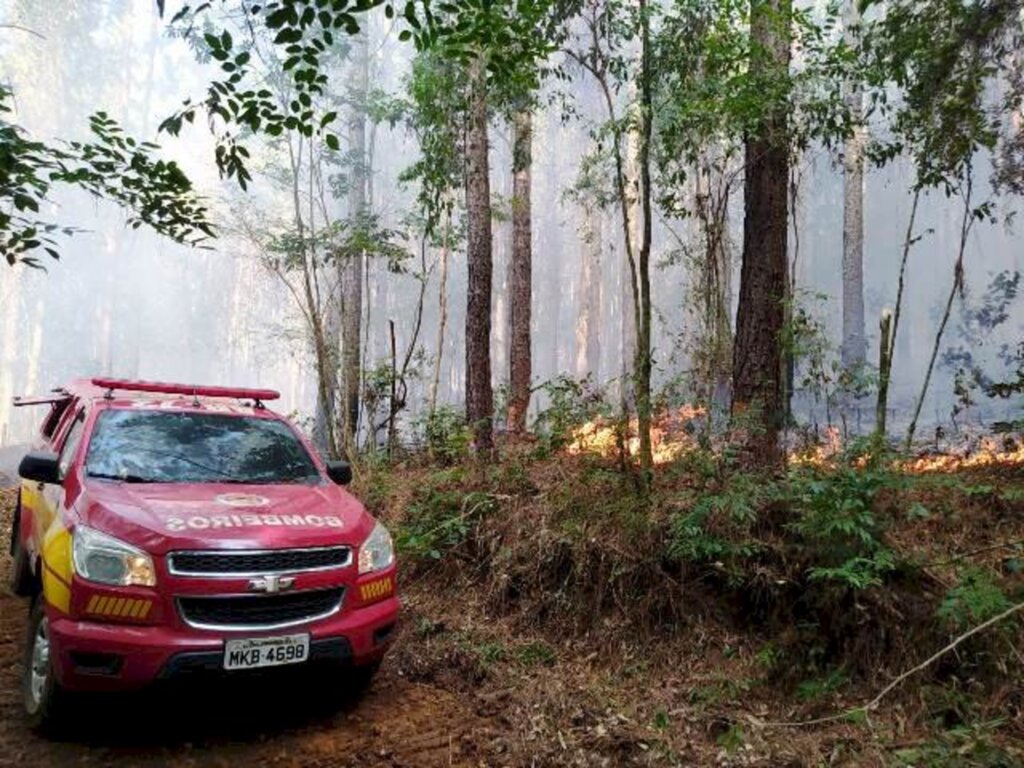 Incêndio em reflorestamento