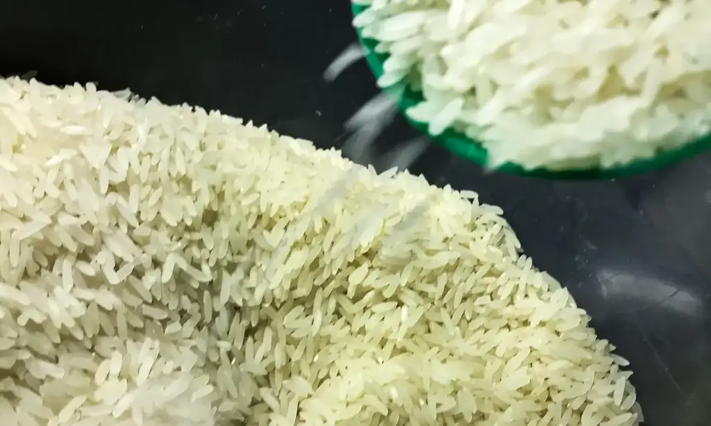 Após duras críticas, governo federal anula leilão e cancela compra de arroz importado