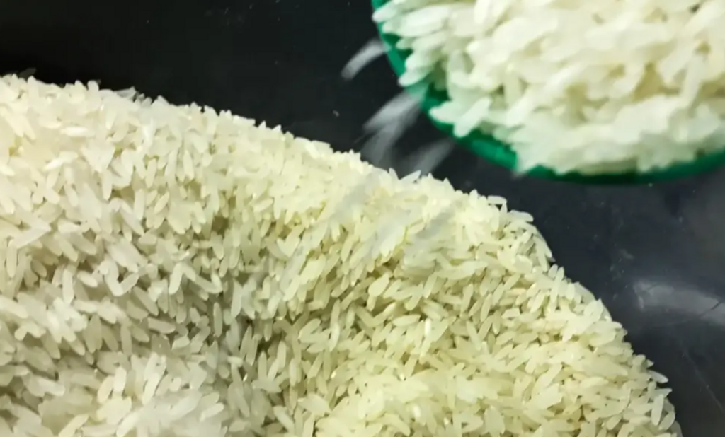 Após duras críticas, governo federal anula leilão e cancela compra de arroz importado