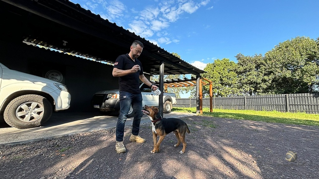 Policial Civil adota cão resgatado de enchente no RS